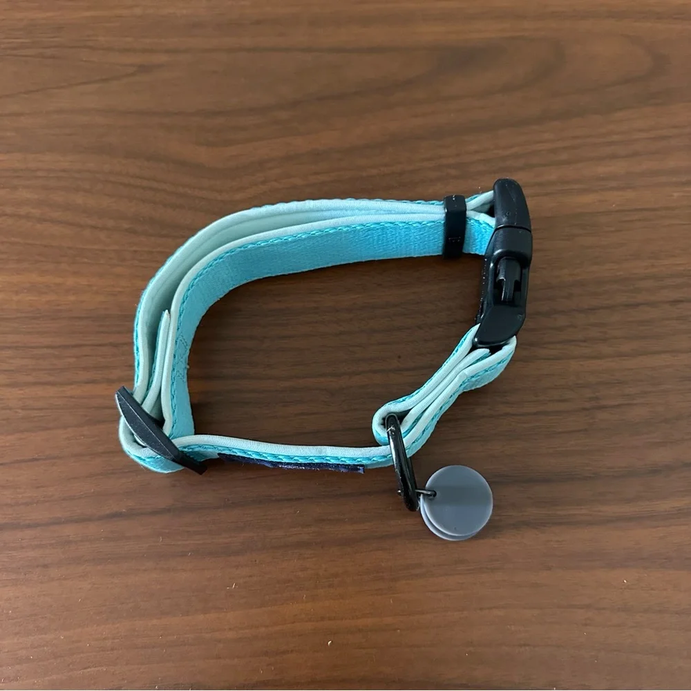 Fog City Pet Light Blue Daily Wear Dog Collar